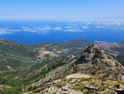 Escursione Isola d'Elba