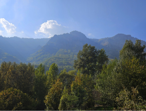 Rocca Mourel
